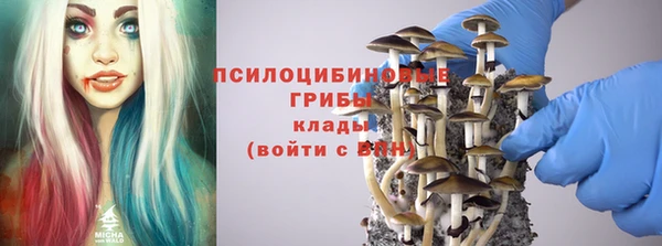ешки Алексин